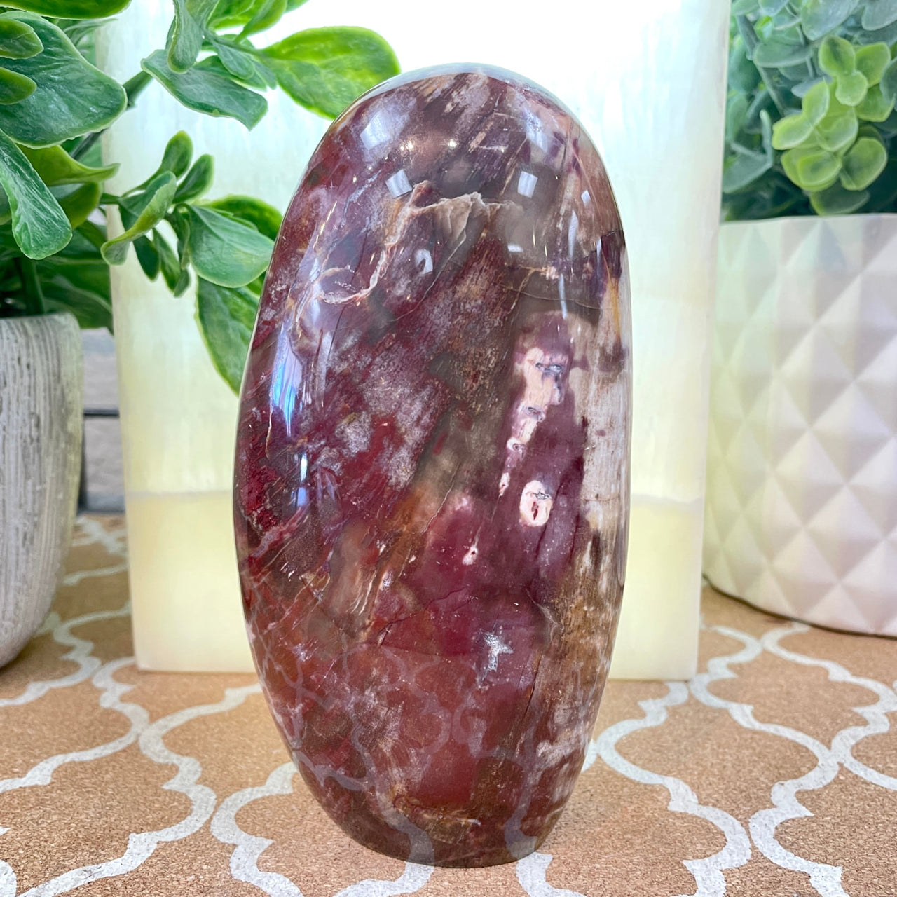 Petrified Wood Freeform #M198 - 1022g - $130