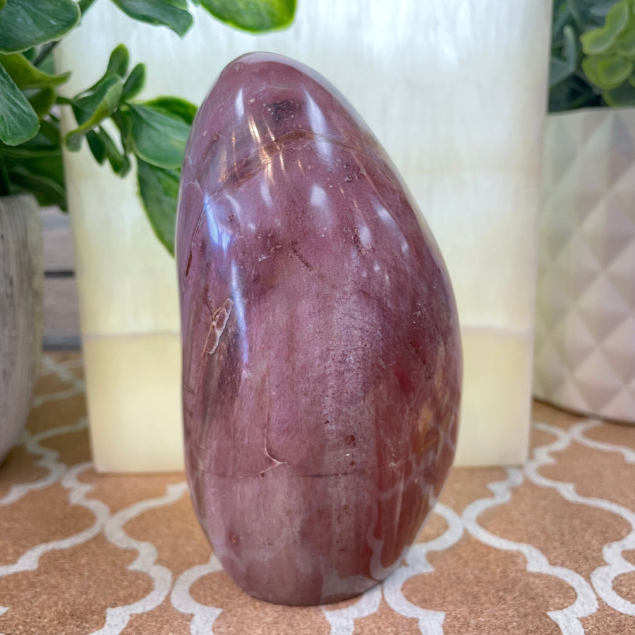Petrified Wood Freeform #M198 - 743g - $95