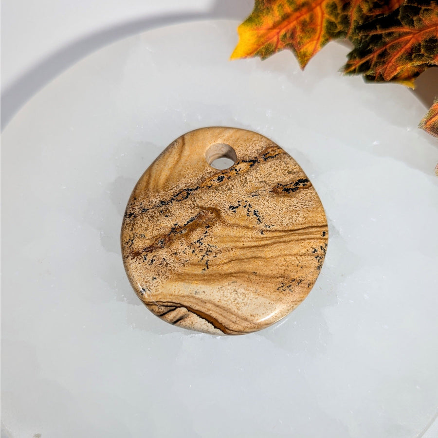 Picture Jasper 2.1’’ Oval Pendant #BC0050 - $25