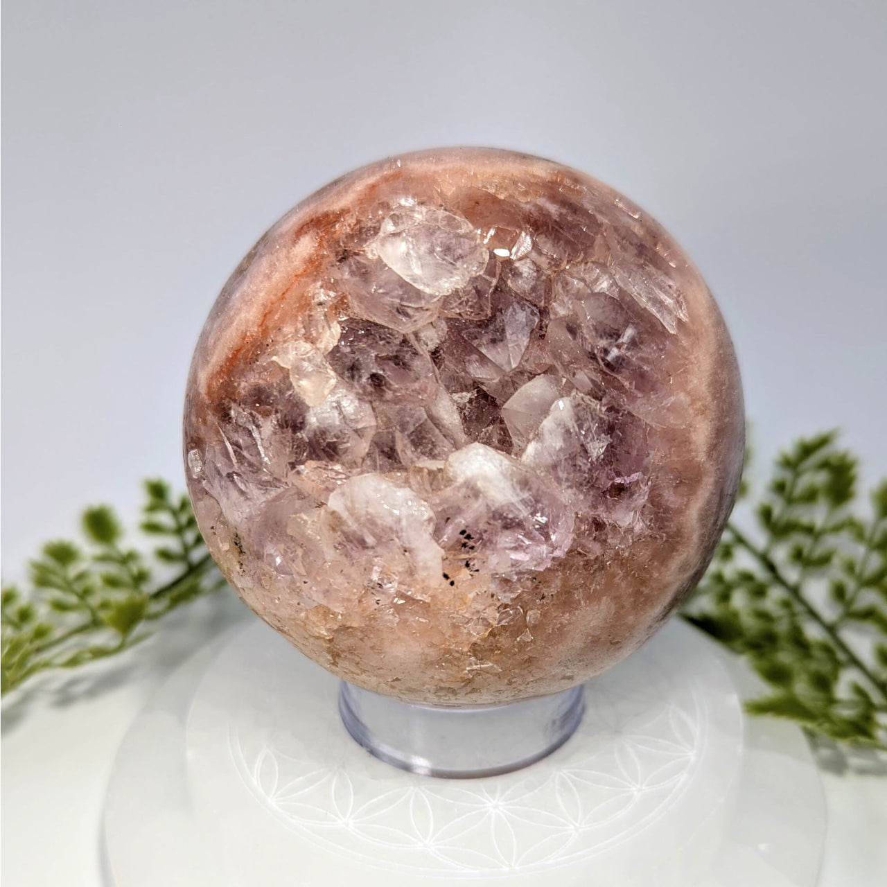 Pink Amethyst 3.5 inch rose quartz geode sphere #BC0801