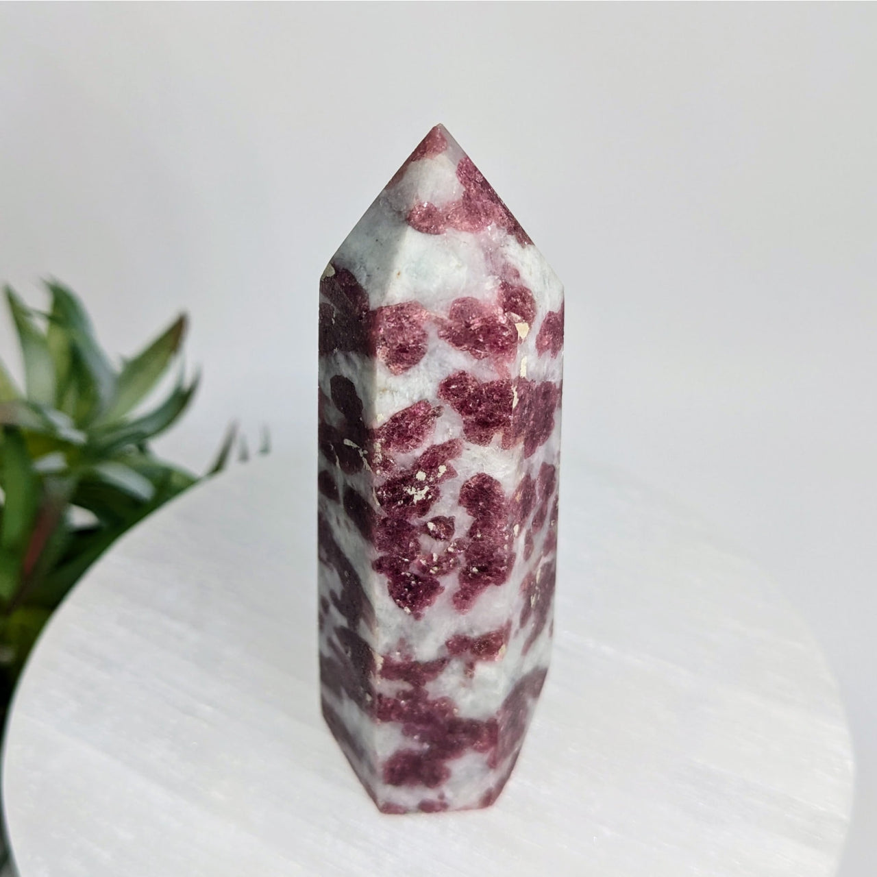 Pink Tourmaline Tower 3.5’’ #LV6084 - $39