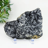 Thumbnail for Pinolith 4.4’ Slab - Black and white rock with plant background, flat shape, #LV3356