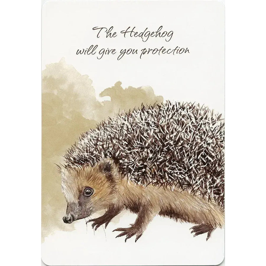 Hedgehog with inspirational quote on a coaster from Power Animals Oracle Deck #PA49