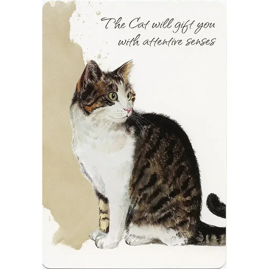 Cat sitting on white surface with Power Animals Oracle Deck #PA49 in background