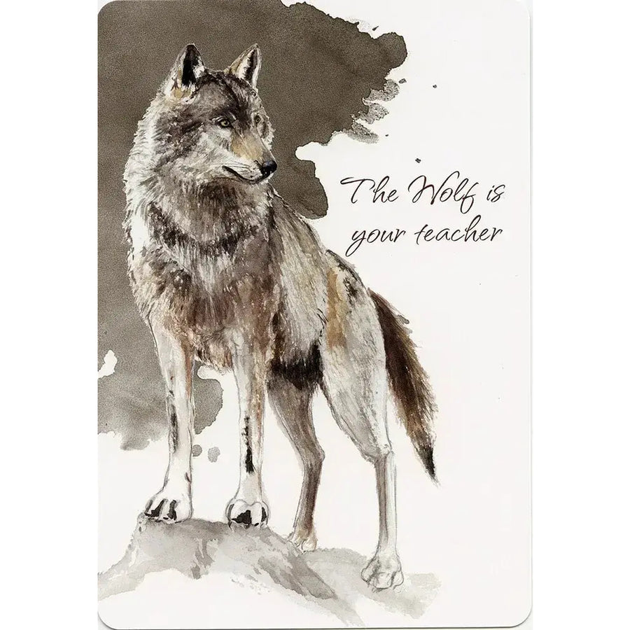 Watercolor painting of a wolf from the Power Animals Oracle Deck #PA49