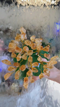 Citrine Flowers 9.5" in Vase #LV8673