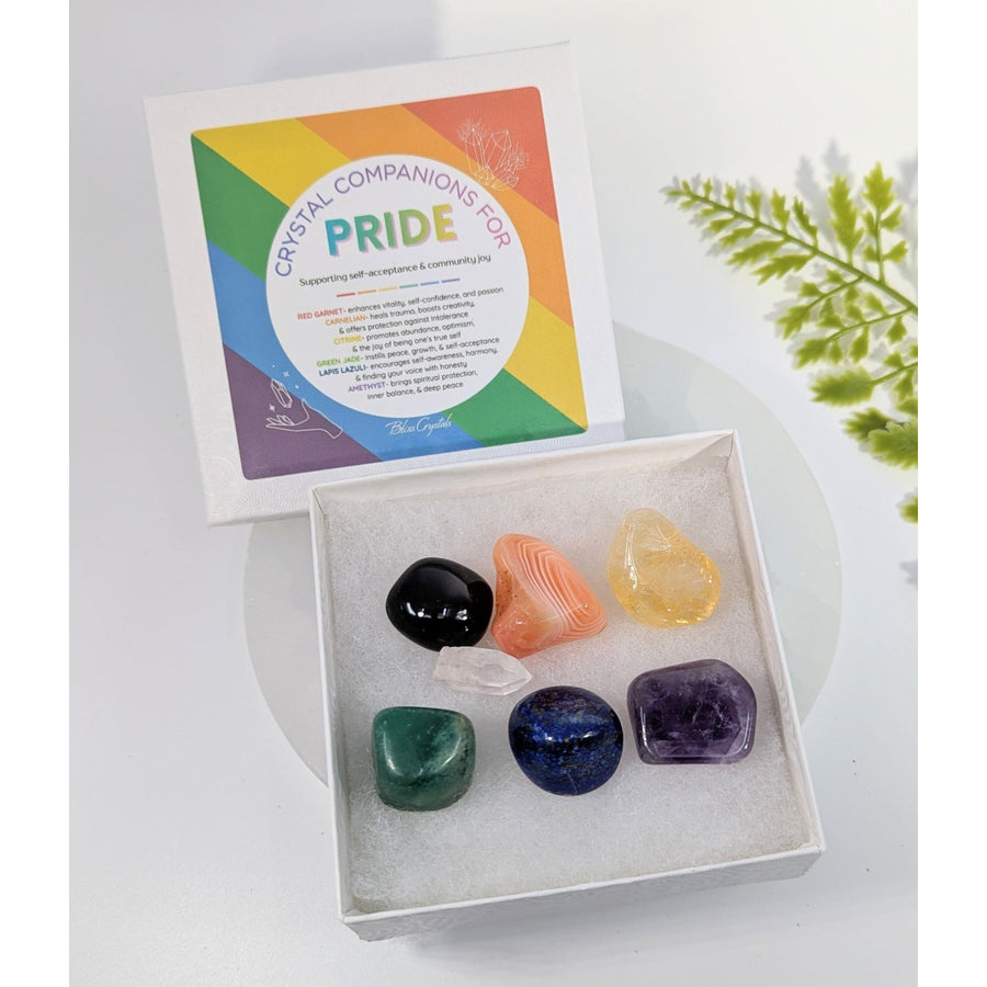 PRIDE Crystal Companion Set #BC0484 with 7 vibrant stones in gift box