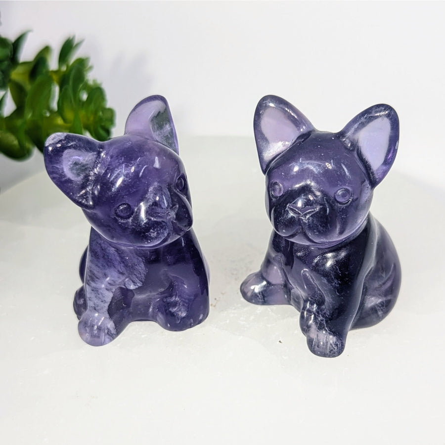 Two polished purple fluorite 2’’ French bulldog carvings #BC0317