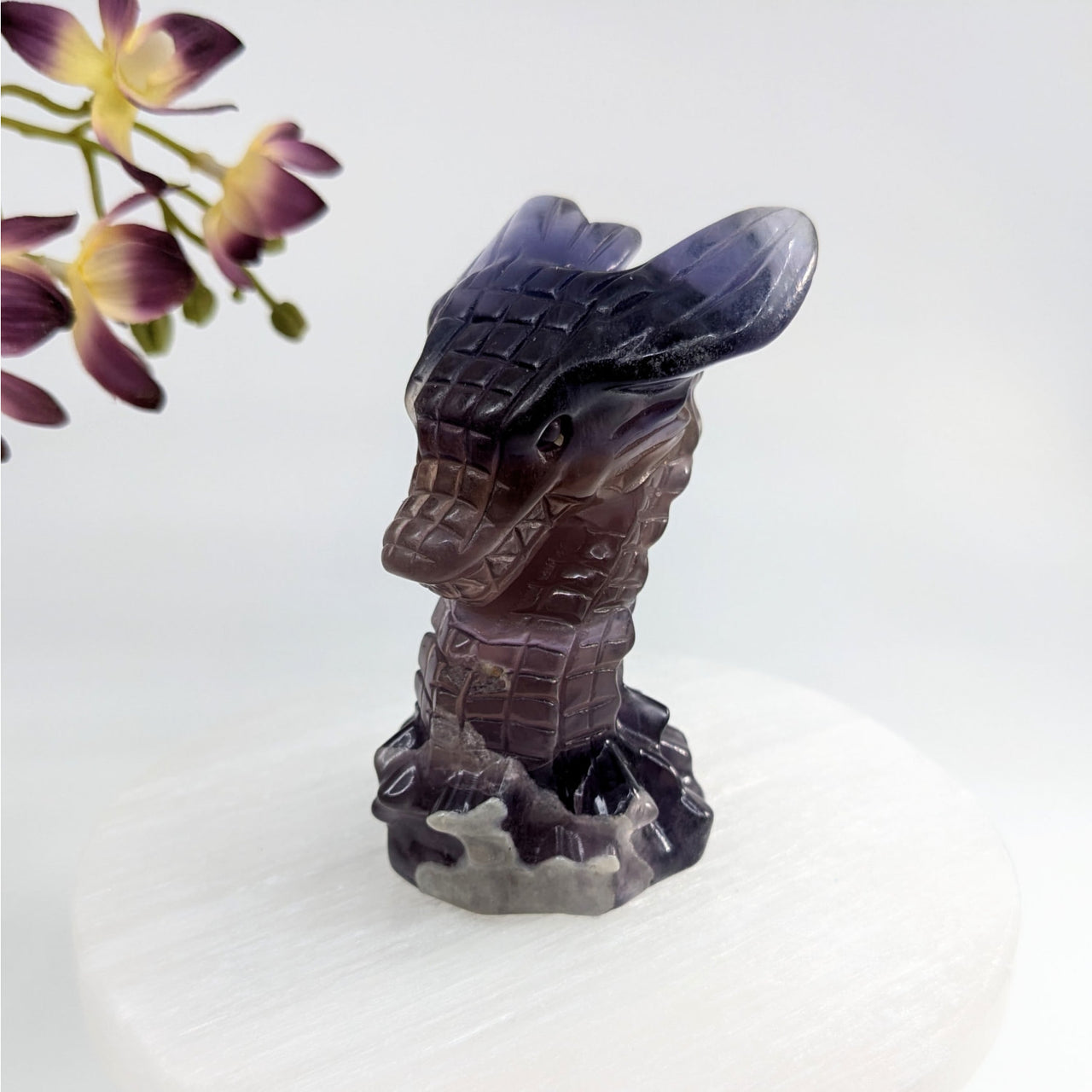 Purple Fluorite 3.1’’ Dragon Head #LV6218 - $69