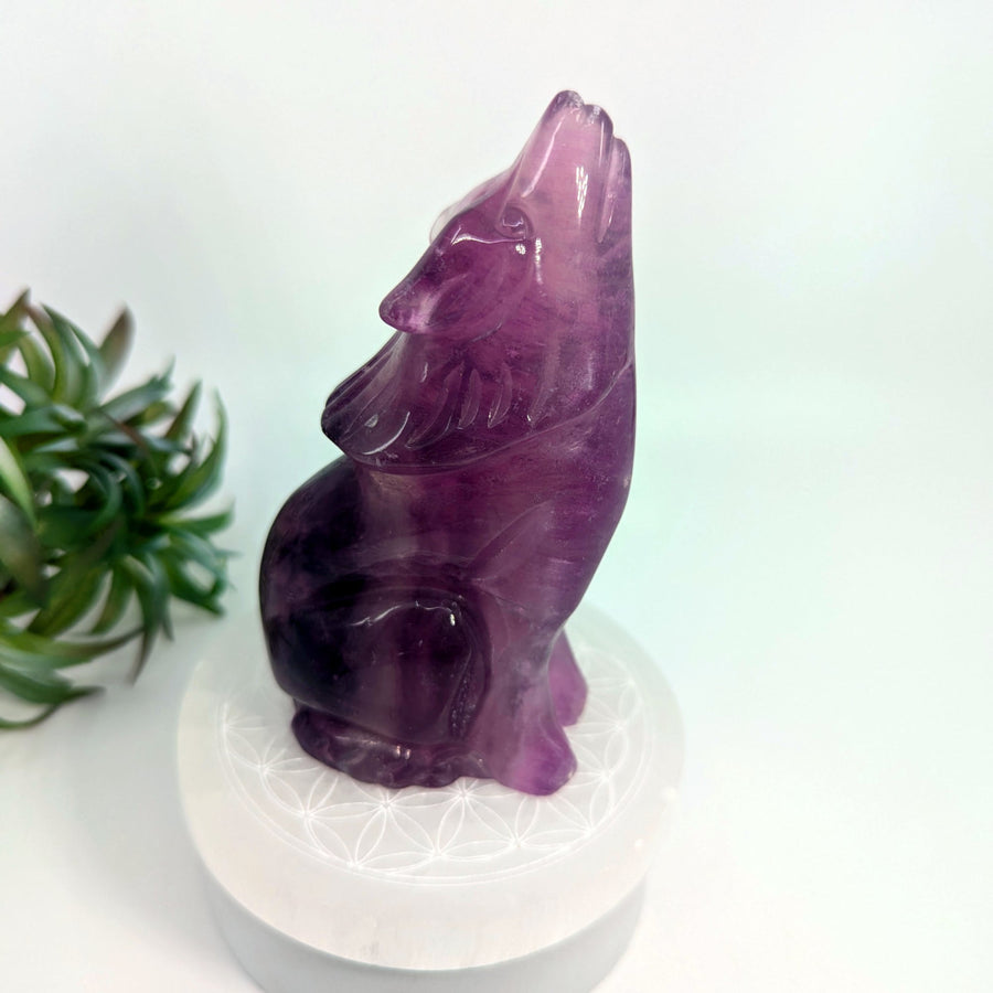 Purple fluorite wolf carving displayed in Purple Fluorite 4.7 inch Wolf Carving #LV7708