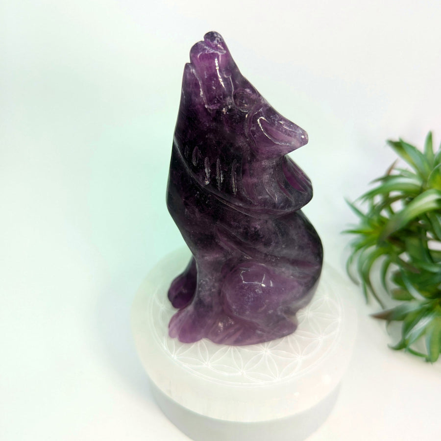 Purple Fluorite Wolf Carving displayed in the Purple Fluorite 4.7 Inch Wolf Carving #LV7709