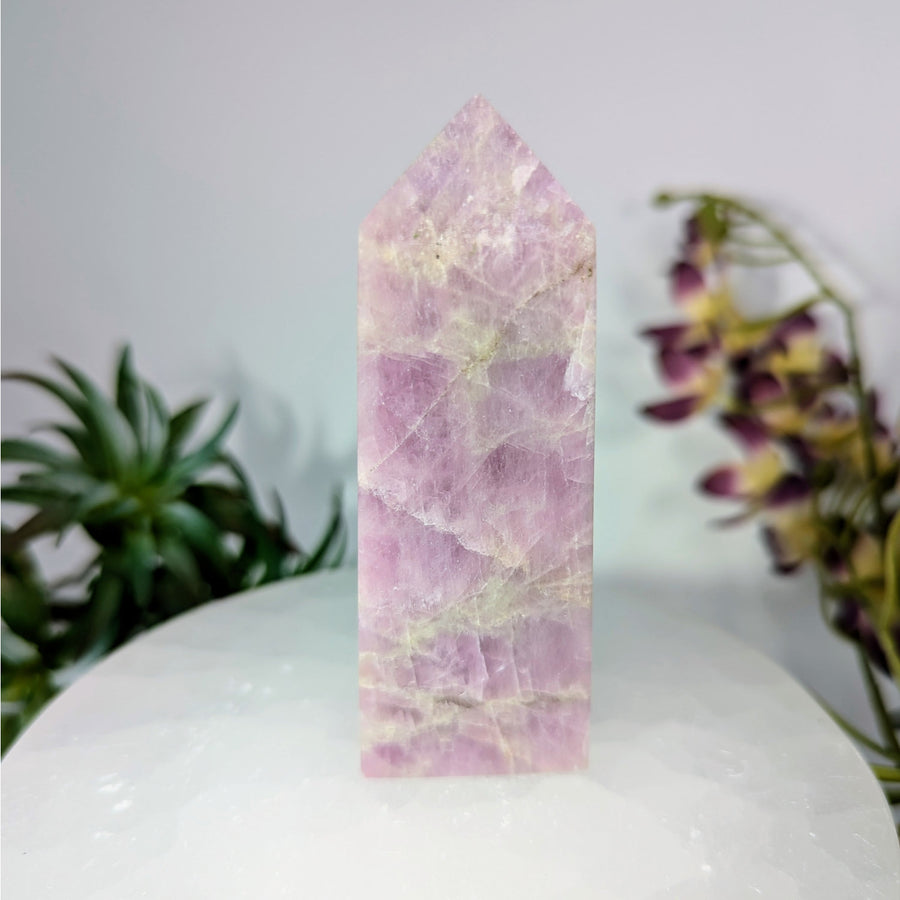 Polished Pink Crystal Tower of Purple Kunzite 3.5 Inch Obelisk Tower #LV8613