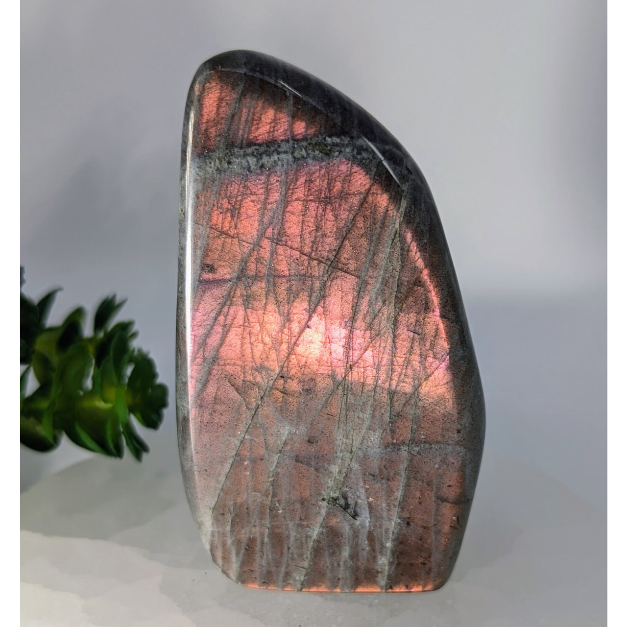 Polished Purple Labradorite 3.75’’ Freeform #BC0316 with iridescent pink and gold flashes