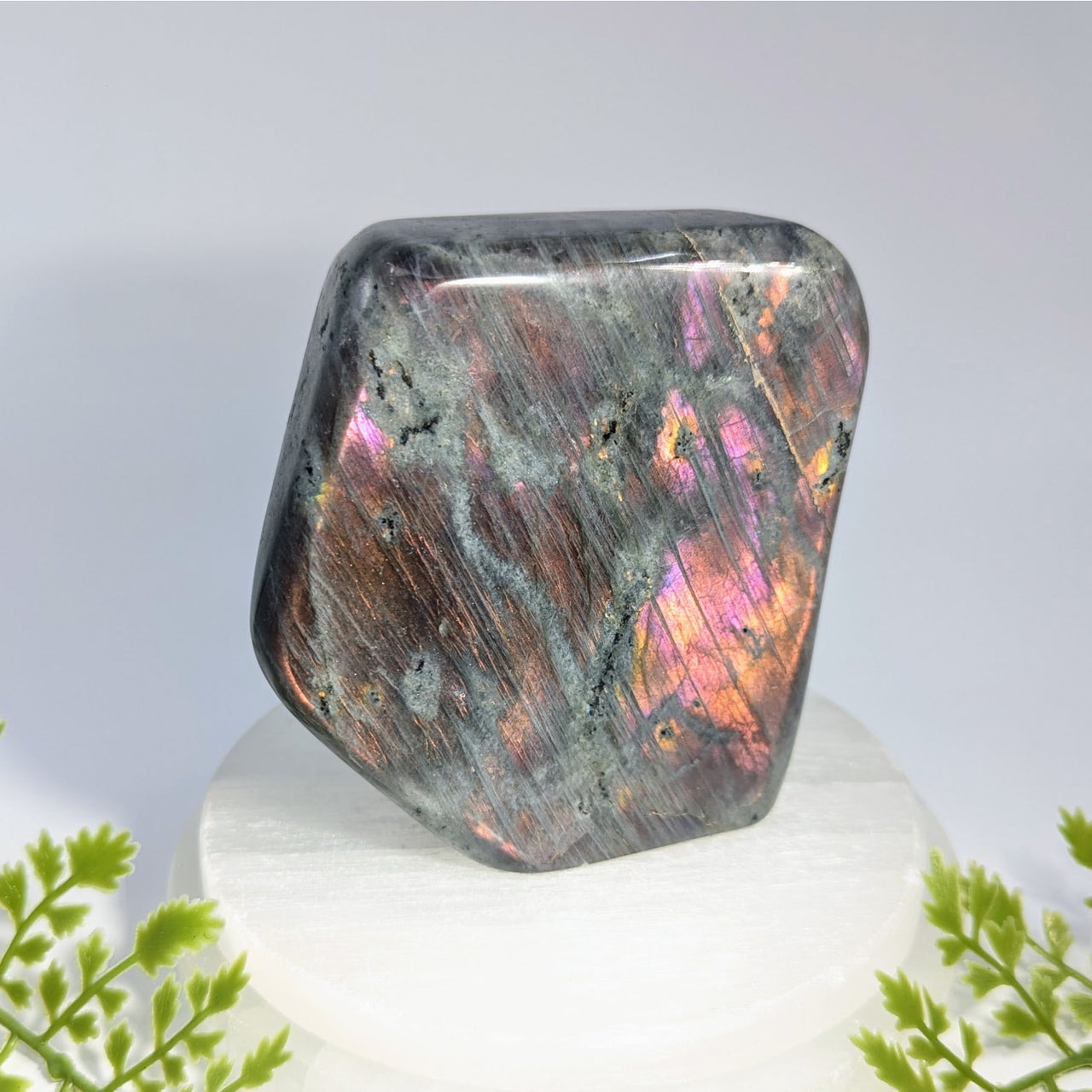 Purple labradorite 3.75 freeform gemstone with dark gray base and iridescent pink orange purple flashes for jewelry