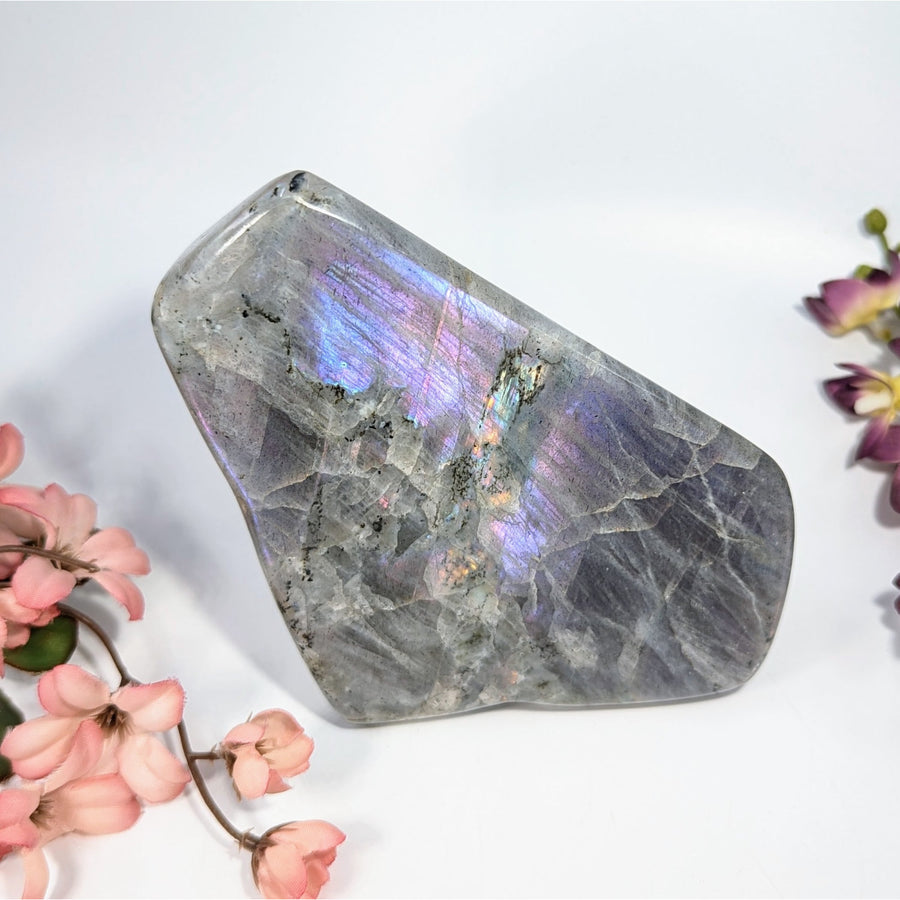 Purple Labradorite 5.7’’ Freeform #LV9368 - $150