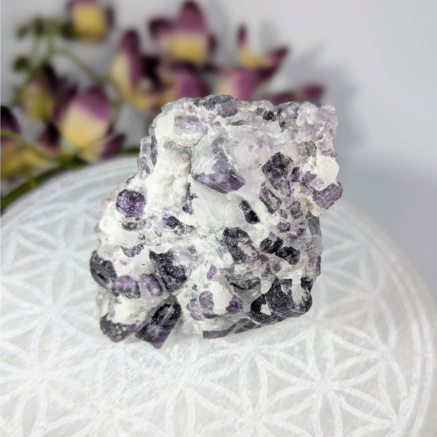 Purple and white crystalline mineral cluster from Purple Scapolite 2.7 inch Specimen LV8633