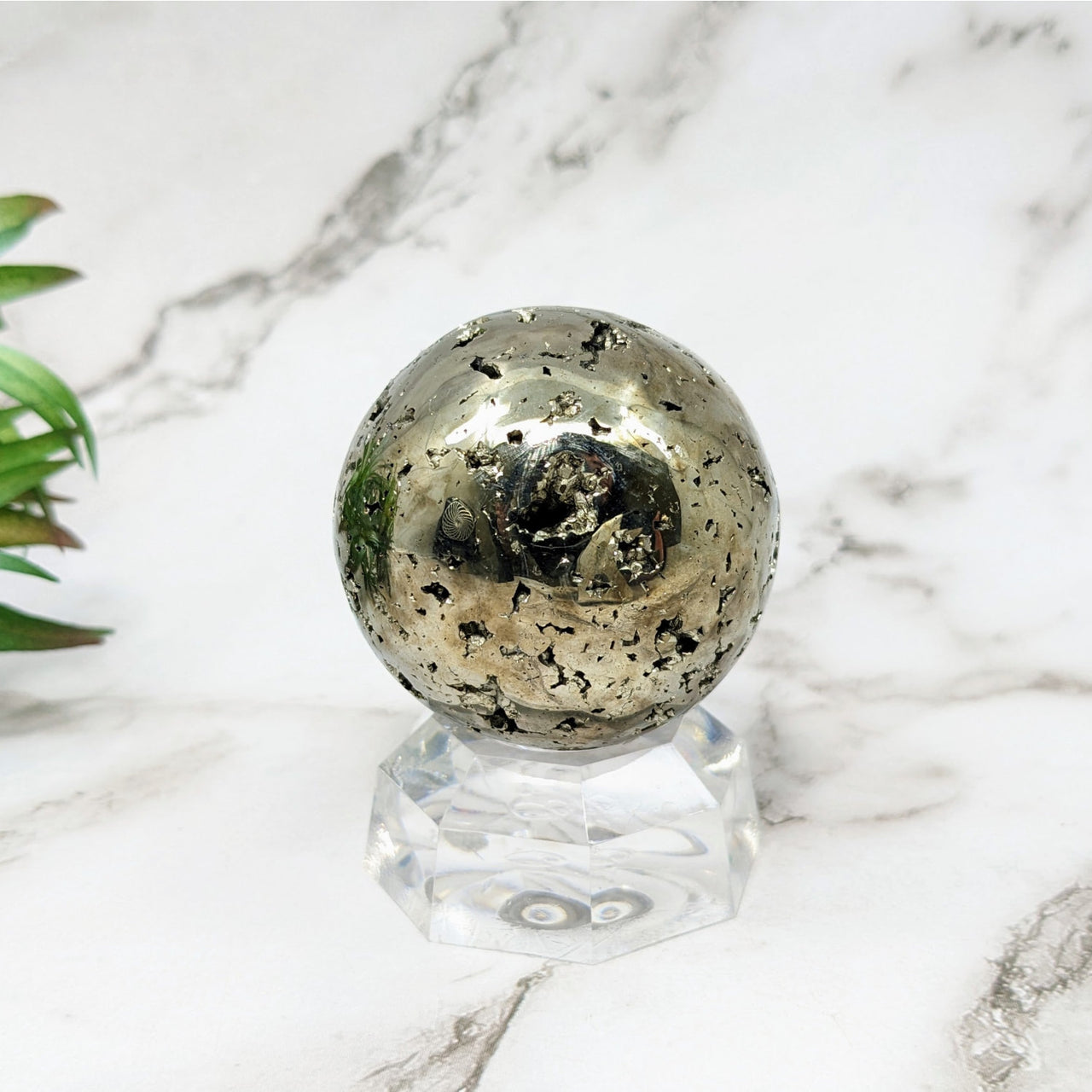 Pyrite 1.9’ Sphere #LV5236 radiating positive energy on marble, plant background