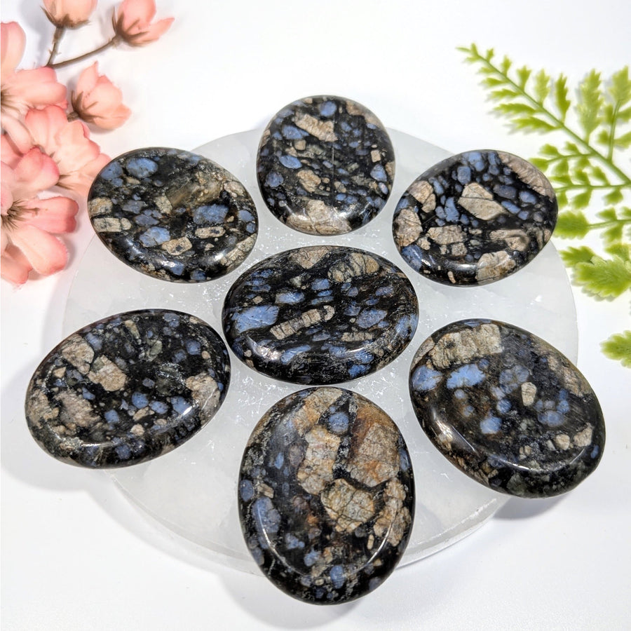 Seven Que Sera 2’’ thumb palm stones #BC0761 in circle on plate