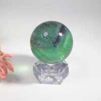 Rainbow Fluorite 1.3’’ Green and Black Marble Sphere on Glass Stand #BC0123