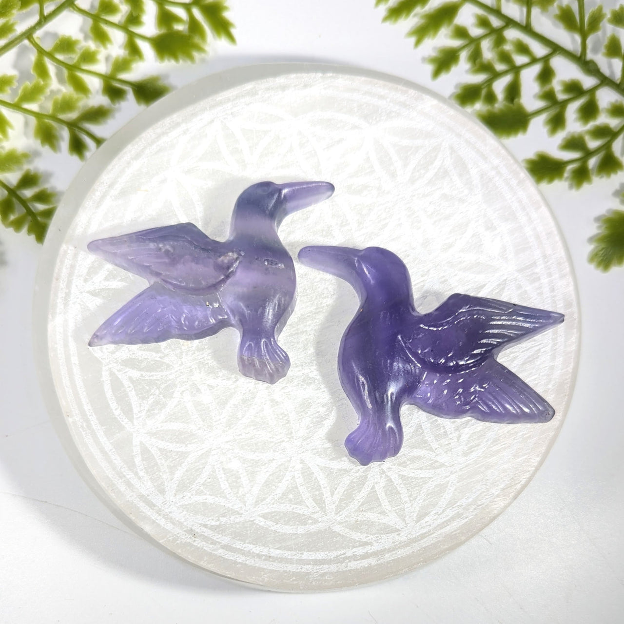 Two translucent purple Rainbow Fluorite 2.3in hummingbird carvings #LV9729