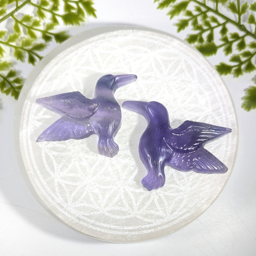 Two translucent purple Rainbow Fluorite 2.3in hummingbird carvings #LV9729