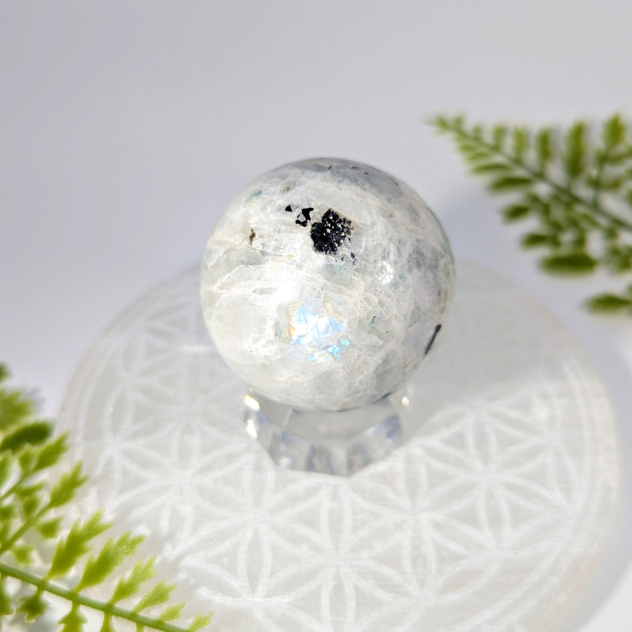 Rainbow Moonstone 1.8 inch iridescent sphere #BC1117 on crystal stand
