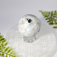Rainbow Moonstone 1.8 inch iridescent sphere #BC1117 on crystal stand