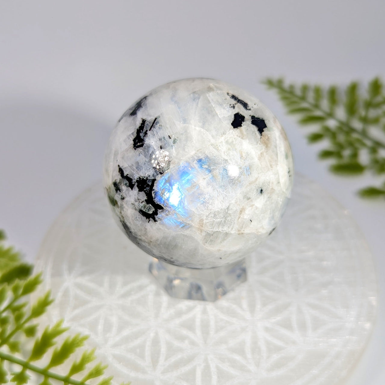 Rainbow Moonstone 2.2’’ Sphere #BC1116 with blue iridescent glow