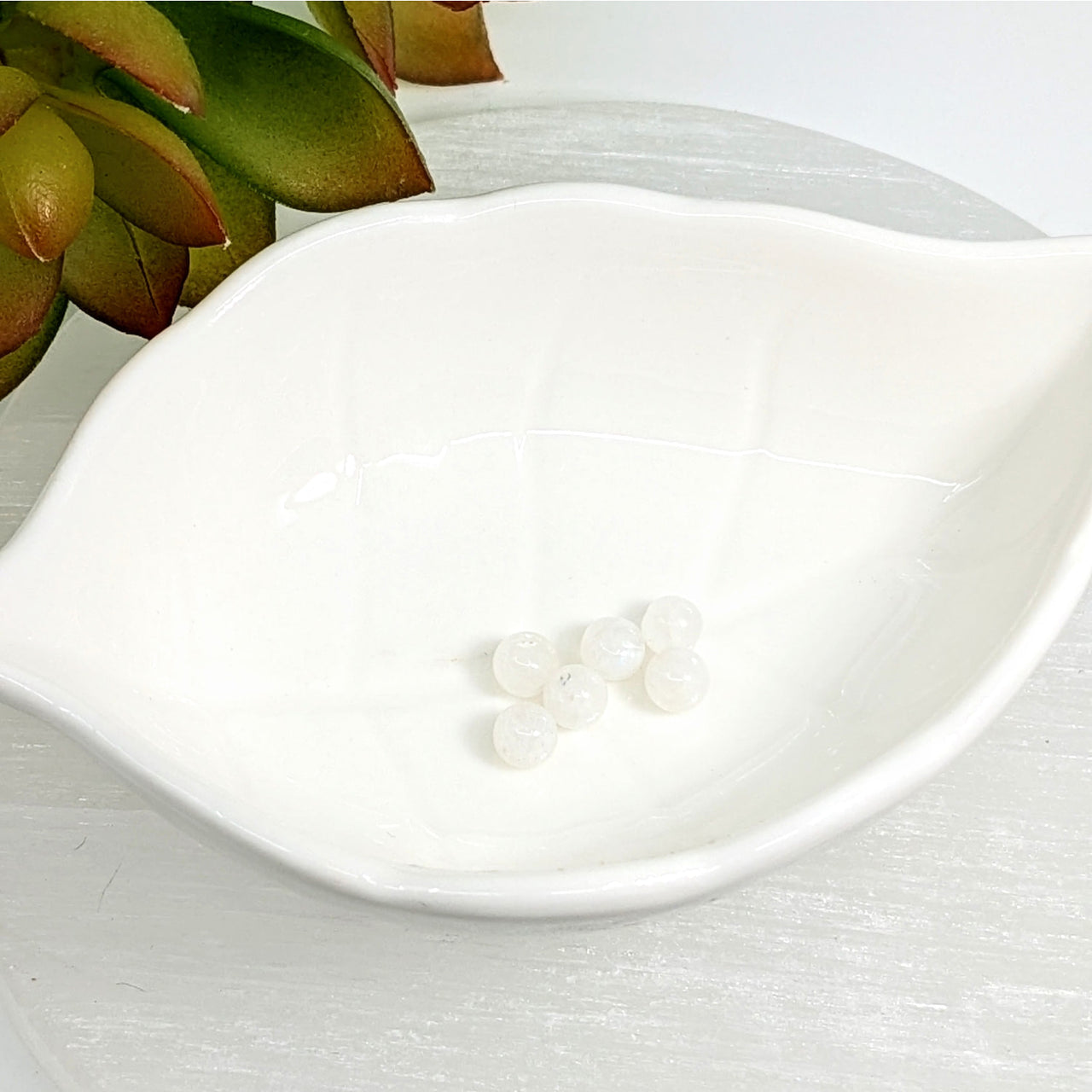 White leaf-shaped ceramic dish showcasing Rainbow Moonstone 5mm round beads