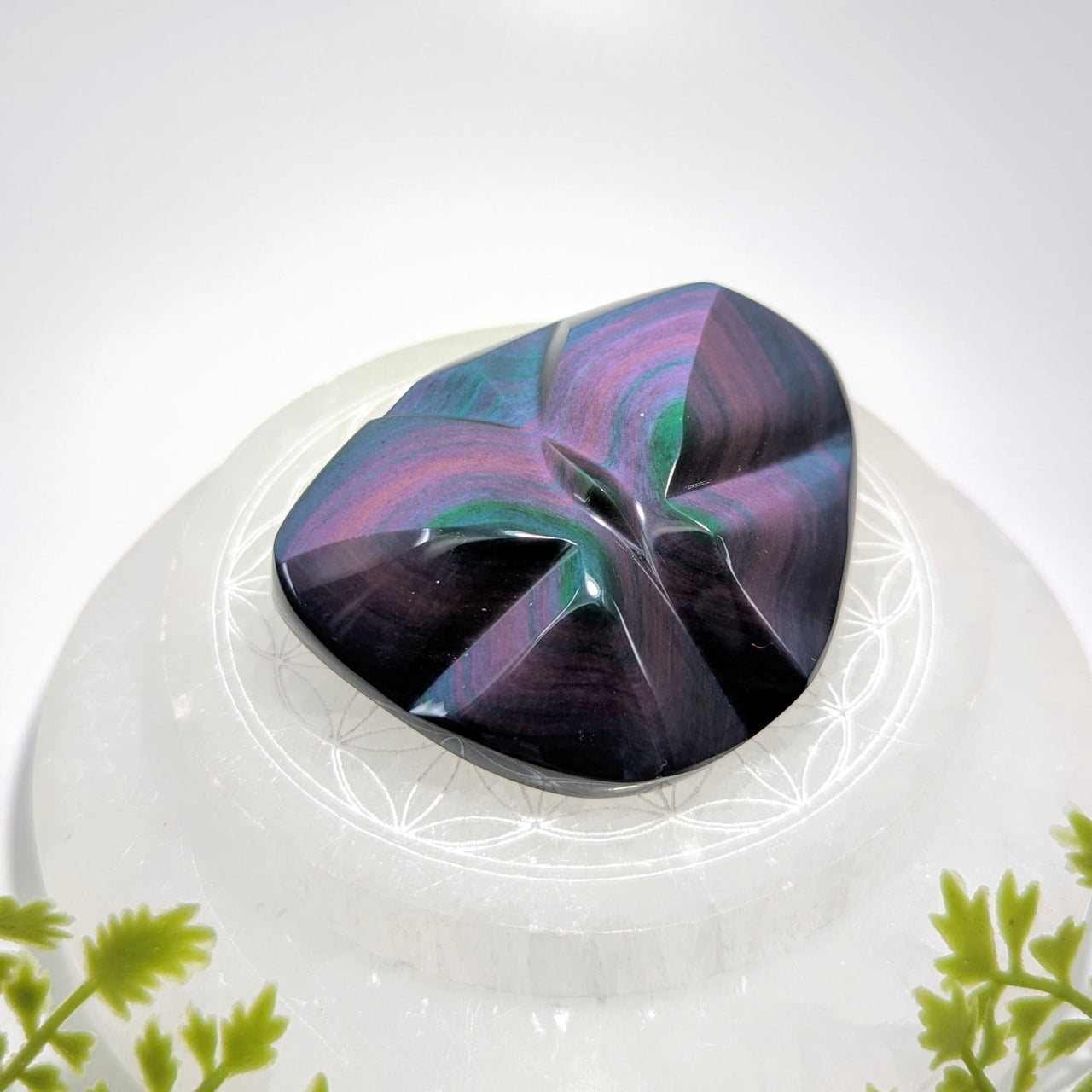 Rainbow Obsidian 3-inch Butterfly Carving #BC1256 on white dish