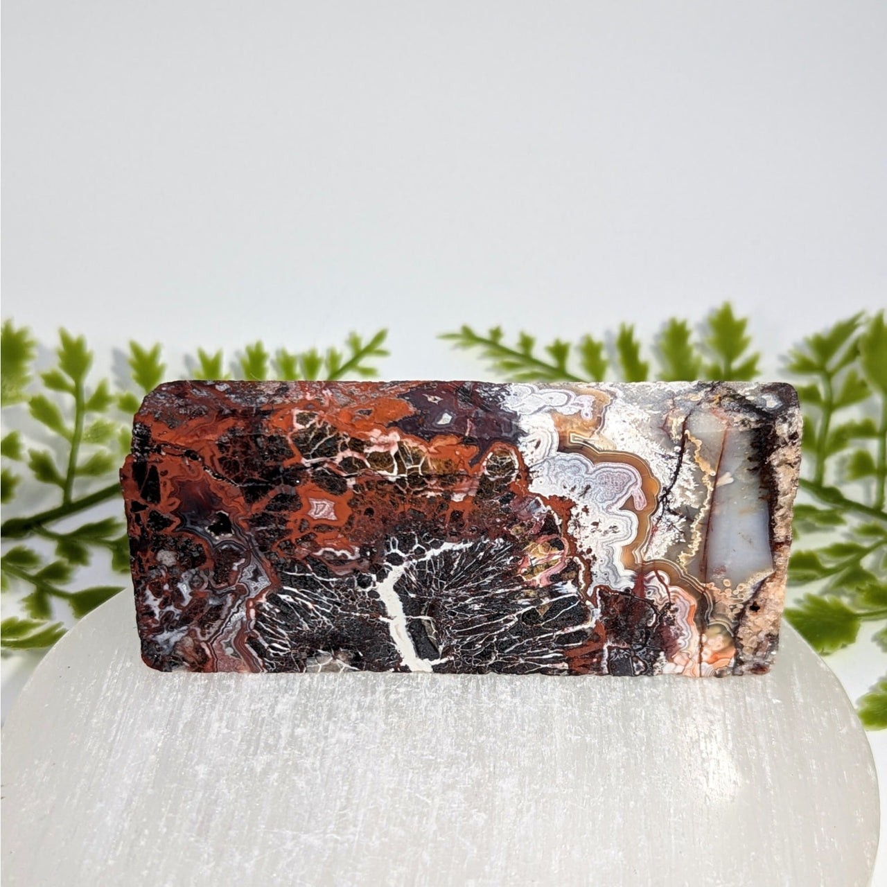 Red Jasper 3.5" Slab #BC1475