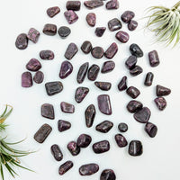 Thumbnail for Tumbled Purple Garnet with Air Plants enhancing Red Ruby Tumbled #T010 for referral history benefits