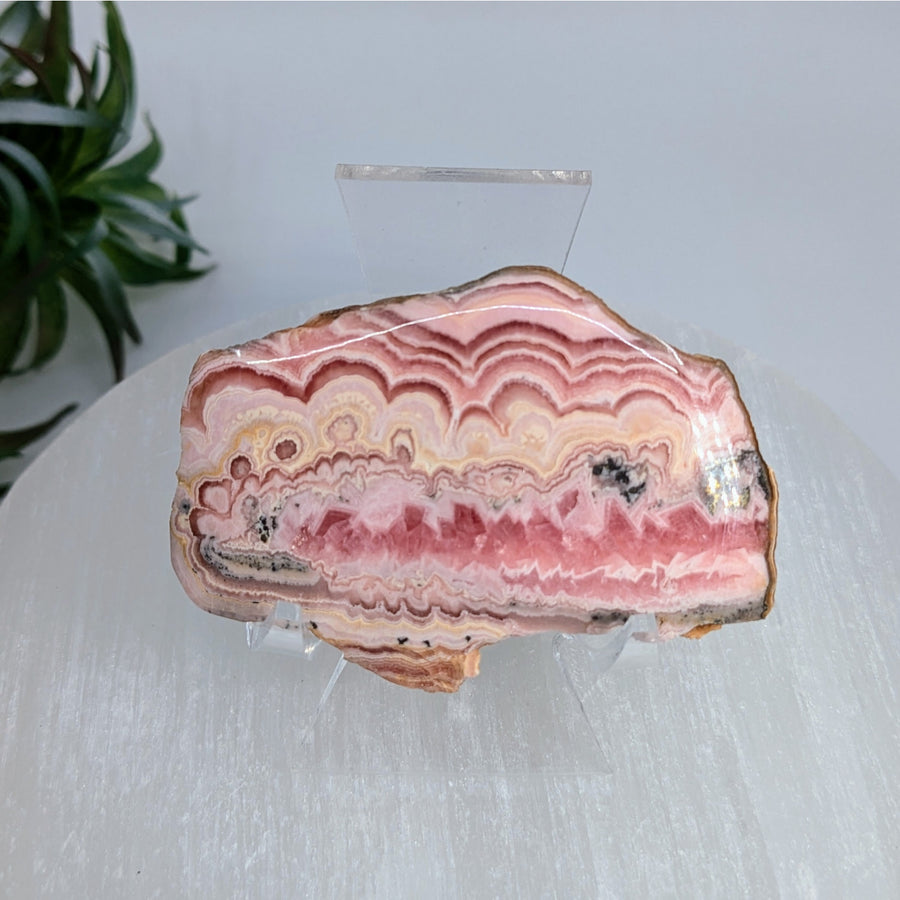 Polished Rhodochrosite slab with banded patterns showcasing bliss crystals and breathtakingly beautiful stone