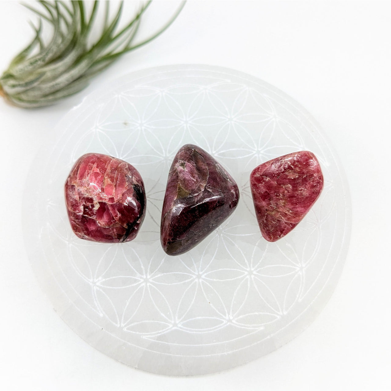 Rhodonite A + + + 1-1.2’’ Tumbled Stone #LV6024 - $39