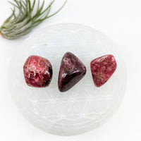 Thumbnail for Rhodonite A + + + 1-1.2’’ Tumbled Stone #LV6024 - $39