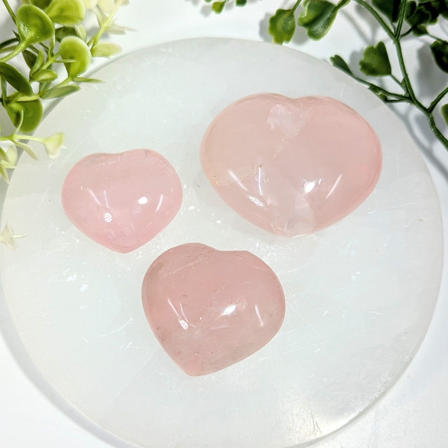 Three smooth translucent pink rose quartz hearts 1.8 to 2 inches on a white selenite plate product bc1360