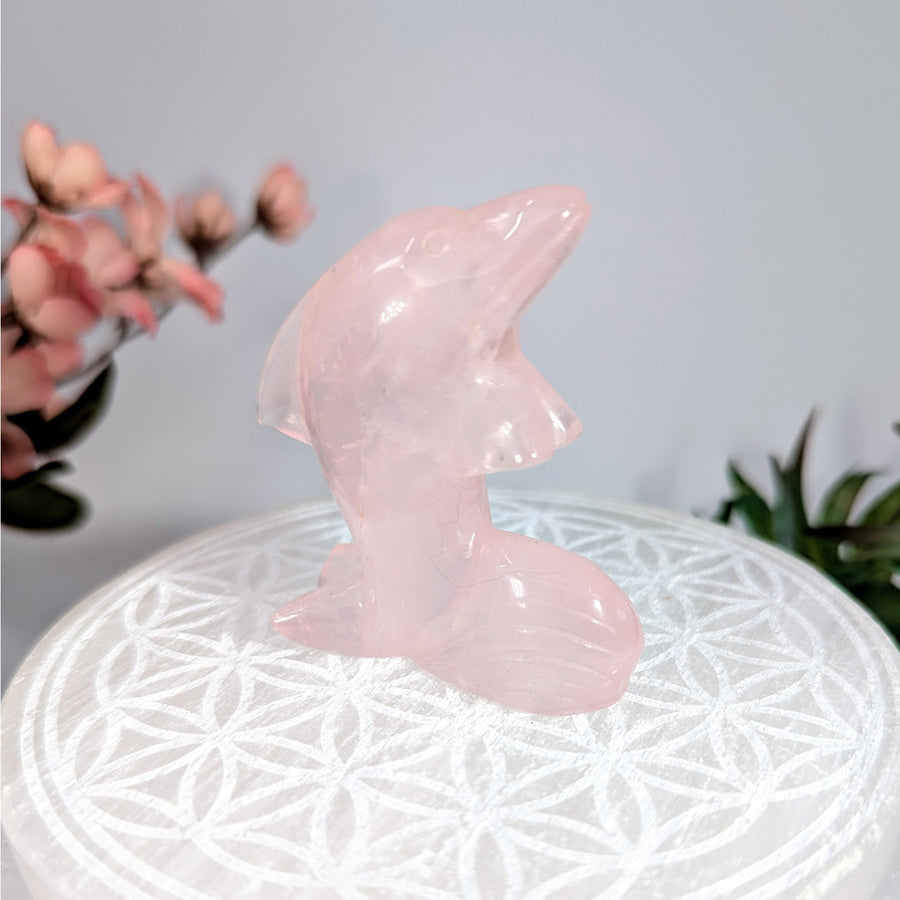 Pink Rose Quartz Dolphin Figurine from Rose Quartz 2.3 Inch Dolphin Carving #LV8433