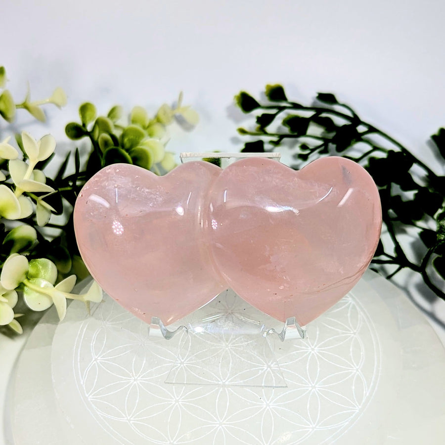 Two polished translucent pink rose quartz hearts with a gentle sheen carved as twin hearts 3.1 inches bc1359