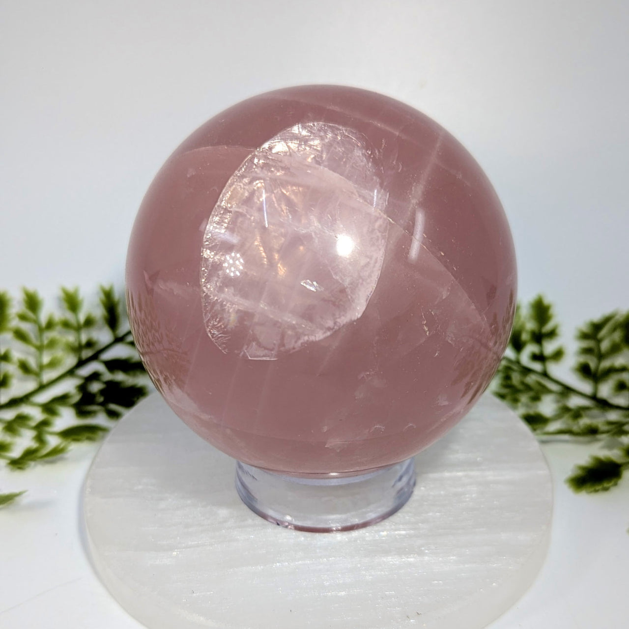 Twin Star Rose Quartz 3.5" Sphere #BC1511
