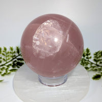 Twin Star Rose Quartz 3.5