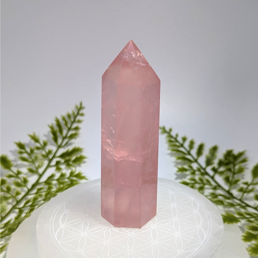 Rose Quartz 3.75’’ Tower #BC0851 translucent pink crystal with faceted top