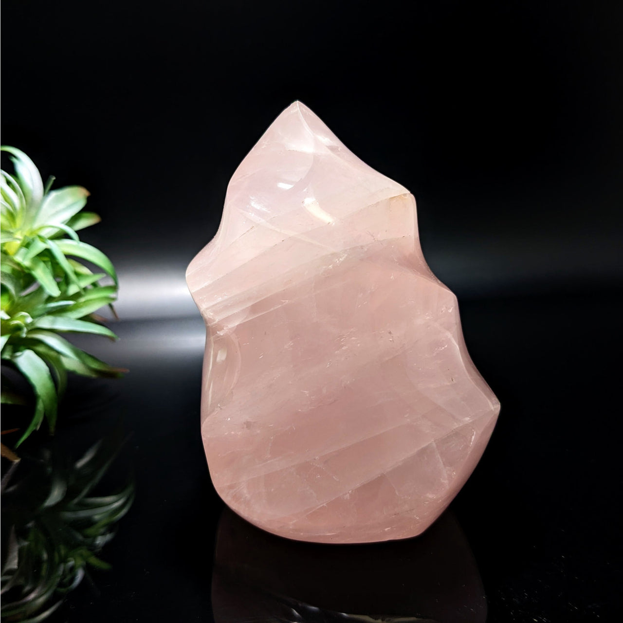 Rose Quartz 3.9’ Flame #LV4742 pink quartz stone on black surface