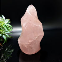 Thumbnail for Rose Quartz 4.3’ Flame with Plant - Crystal Healing Energy Stone #LV4741