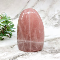 Thumbnail for Rose Quartz 4’ Freeform #LV4527 with pink quartz stone and green plant background