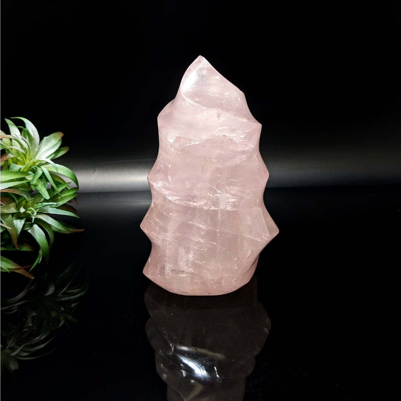 Rose Quartz Point - 5.2’ Flame #LV4739 - Beautiful Rose Quartzite Display