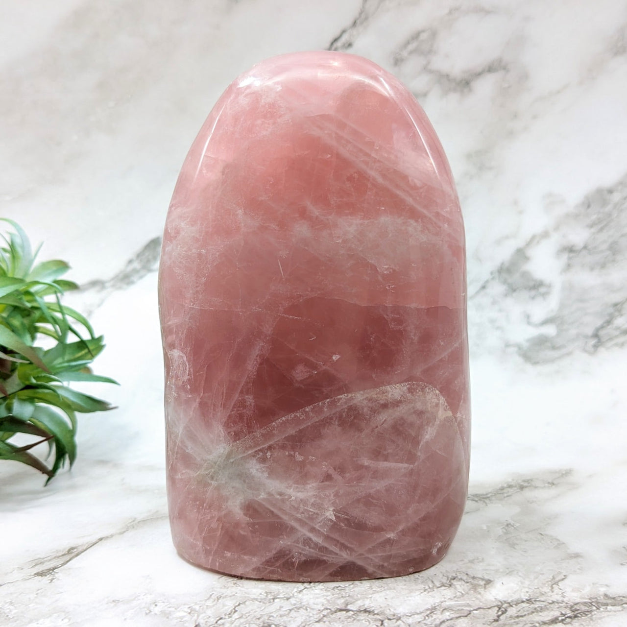 Rose quartz stone with white vein - 5.2’ Freeform #LV4528