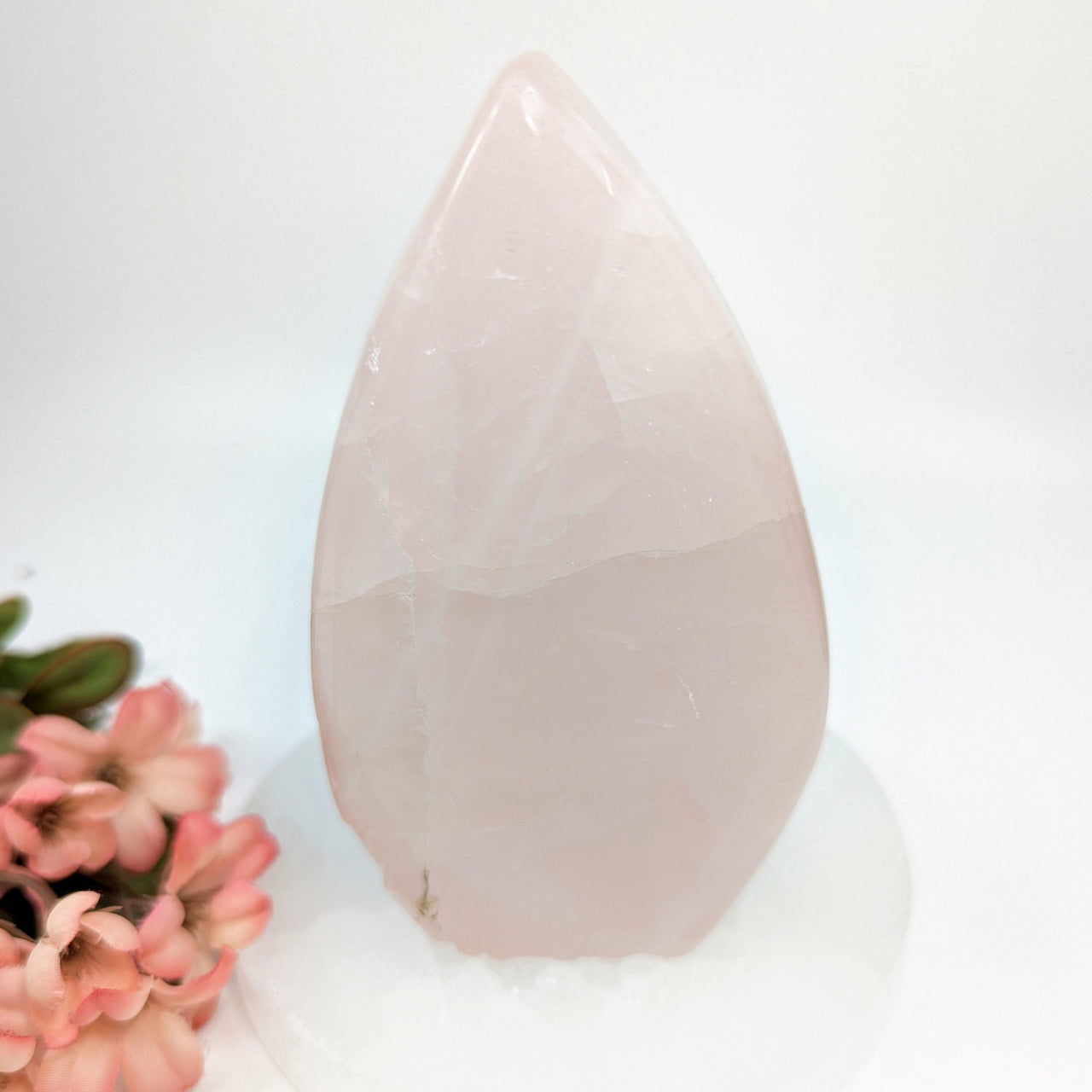 Polished pink teardrop-shaped Rose Quartz crystal specimen 5.4 inches tall