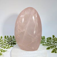 Rose Quartz 5.5