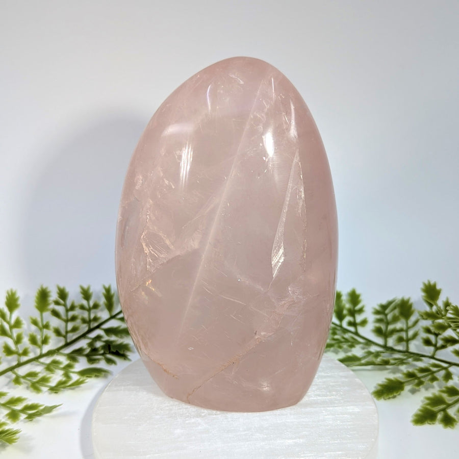 Rose Quartz 5.5" Freeform #BC1508