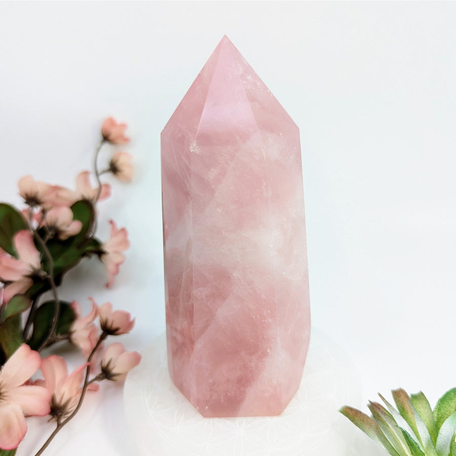 Polished pink Rose Quartz point from Rose Quartz 5’’ Generator LV7818